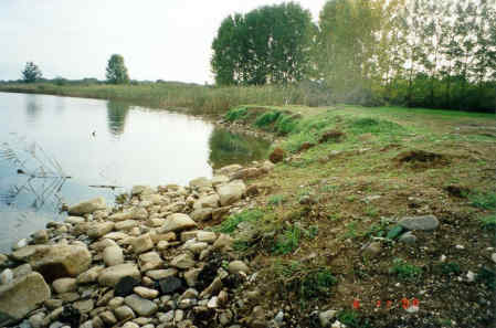 Η Φύση και η Ζωή µας στη Λίµνη Τριχωνίδα_Page102_Image1