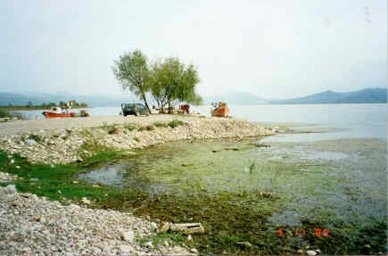 Η Φύση και η Ζωή µας στη Λίµνη Τριχωνίδα_Page103_Image1