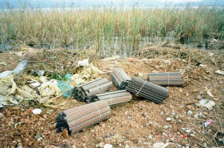 Η Φύση και η Ζωή µας στη Λίµνη Τριχωνίδα_Page104_Image2