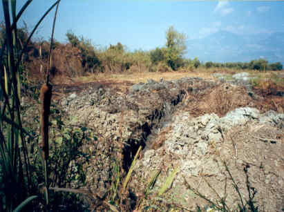 Η Φύση και η Ζωή µας στη Λίµνη Τριχωνίδα_Page110_Image2