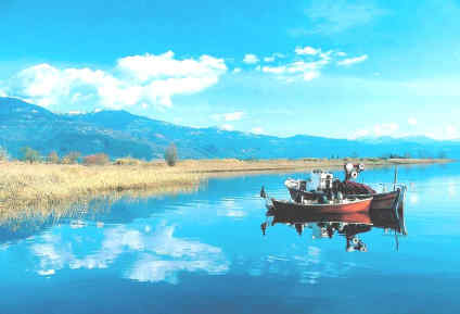 Η Φύση και η Ζωή µας στη Λίµνη Τριχωνίδα_Page12_Image1