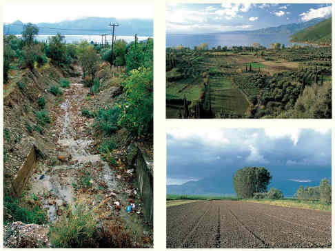 Η Φύση και η Ζωή µας στη Λίµνη Τριχωνίδα_Page16_Image1