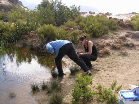 Η Φύση και η Ζωή µας στη Λίµνη Τριχωνίδα_Page172_Image1