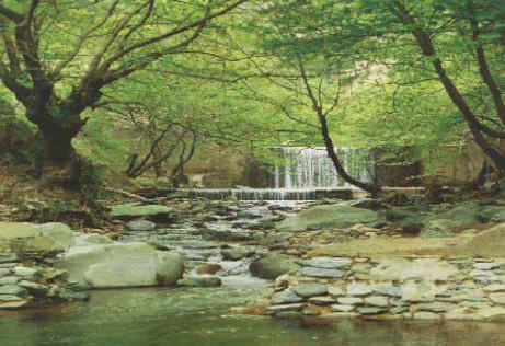 Η Φύση και η Ζωή µας στη Λίµνη Τριχωνίδα_Page173_Image1