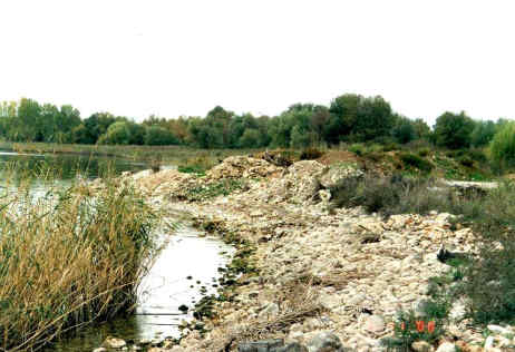 Η Φύση και η Ζωή µας στη Λίµνη Τριχωνίδα_Page17_Image1