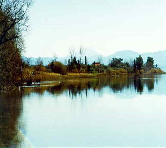 Η Φύση και η Ζωή µας στη Λίµνη Τριχωνίδα_Page1_Image1