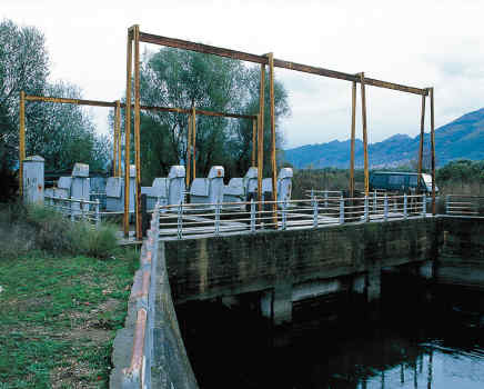 Η Φύση και η Ζωή µας στη Λίµνη Τριχωνίδα_Page21_Image1