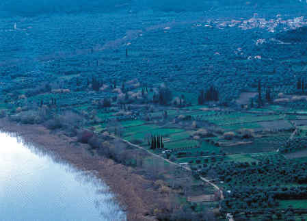 Η Φύση και η Ζωή µας στη Λίµνη Τριχωνίδα_Page31_Image1