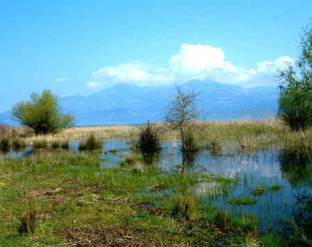 Η Φύση και η Ζωή µας στη Λίµνη Τριχωνίδα_Page4_Image1