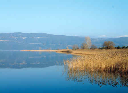 Η Φύση και η Ζωή µας στη Λίµνη Τριχωνίδα_Page4_Image2