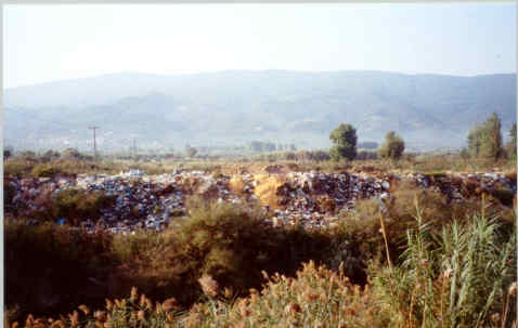 Η Φύση και η Ζωή µας στη Λίµνη Τριχωνίδα_Page58_Image1