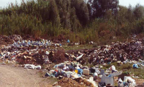 Η Φύση και η Ζωή µας στη Λίµνη Τριχωνίδα_Page59_Image1