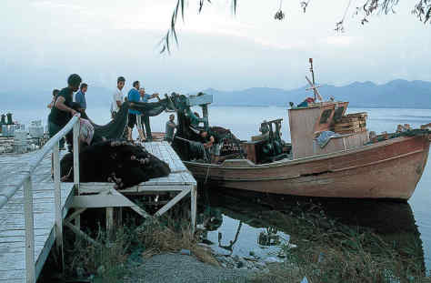 Η Φύση και η Ζωή µας στη Λίµνη Τριχωνίδα_Page62_Image1