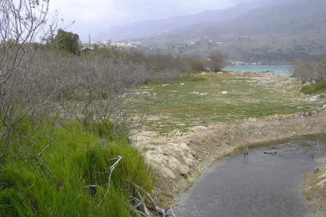 Η Φύση και η Ζωή µας στη Λίµνη Τριχωνίδα_Page78_Image1