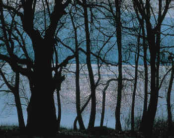 Η Φύση και η Ζωή µας στη Λίµνη Τριχωνίδα_Page79_Image1