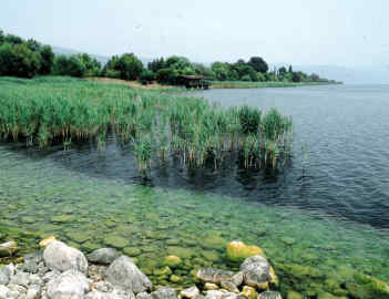 Η Φύση και η Ζωή µας στη Λίµνη Τριχωνίδα_Page79_Image2