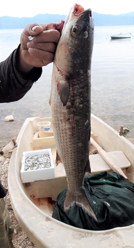 279618657_703917430855629_4893151141622073266_n