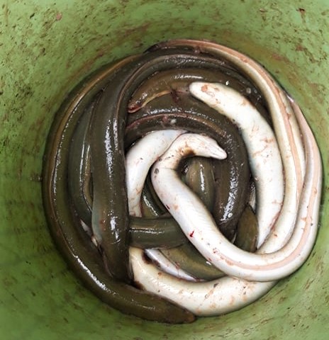 279648993_697382158150556_621141641019929124_n