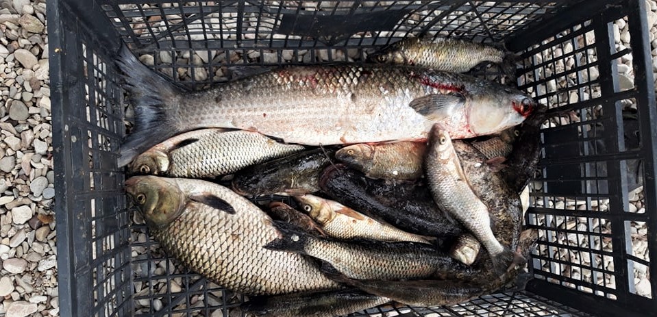 279717929_944540059552050_3365298434451493625_n (2)