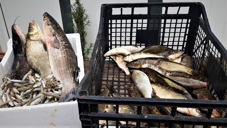 279723707_461978289036432_3097408170641516218_n